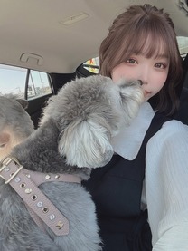 䂠摜
