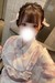 ڍ꒍ӁI䂸