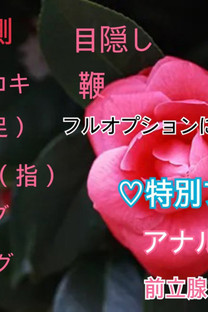 �������摜