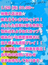 �̌��@�����݉摜