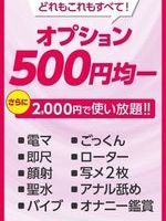 全オプション500円
