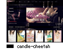 デザインNo.13 candle-cheetah