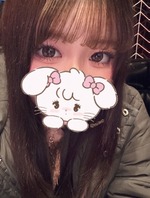 Vl̏̎q