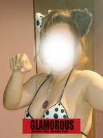 Vl̏̎q
