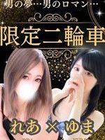 Vl̏̎q