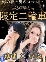 Vl̏̎q