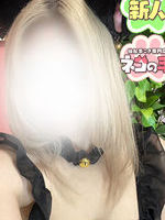 Vl̏̎q