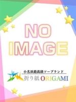 Vl̏̎q