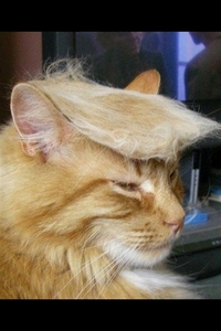�˂��˂�������