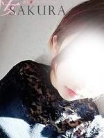 Vl̏̎q